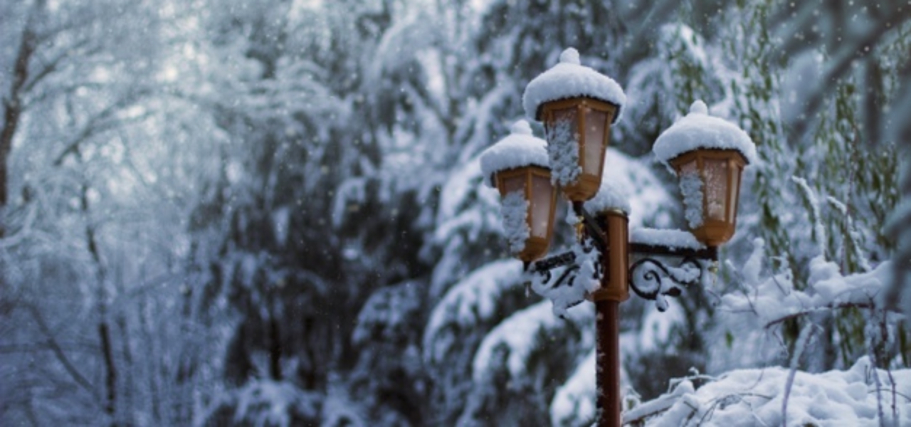 Winter health and safety tips for businesses